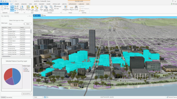 Digital Mapping Group GIS Software & Tools Service