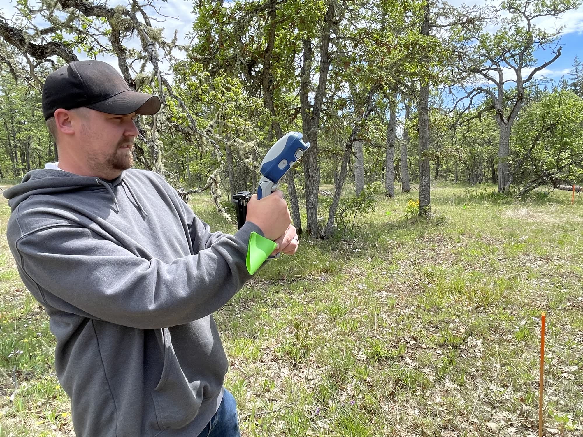Skadi handheld data collection, oak woodland